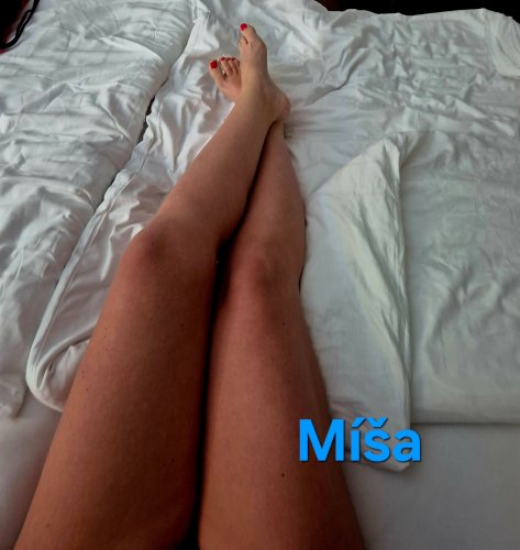 Míša Litomyšl 2.-4.3.