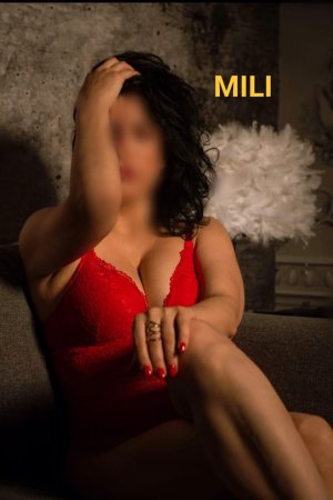 Mili NOVINKA, 23h., PO-ST 1.-3.12.